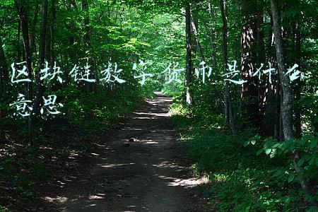 区块链数字货币是什么意思