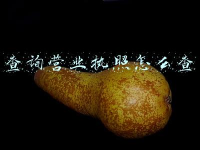 查询营业执照怎么查