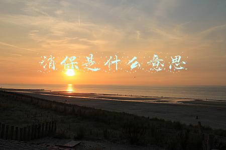 消保是什么意思