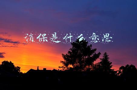 消保是什么意思