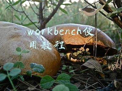 workbench使用教程