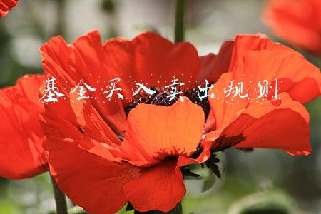 基金卖出交易规则(受限开放期！你的基金赎回被“限”了吗)