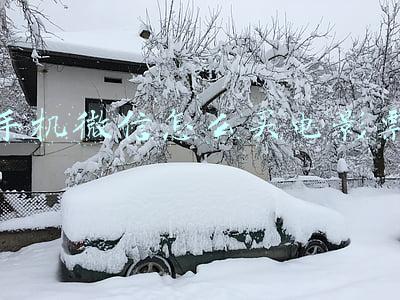 怎么在微信购买电影票(微信搜索上线新功能，可一键购买电影票)