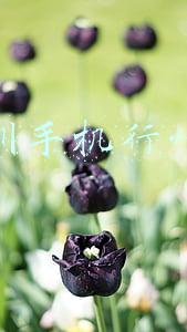 深圳手机行情网