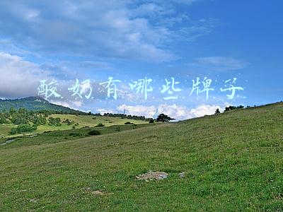 酸奶有哪些牌子