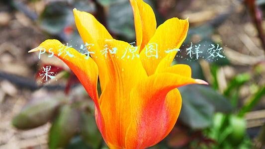 ps改字和原图一样效果
