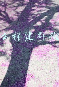 怎么样建群微信