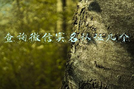 查询微信实名认证几个