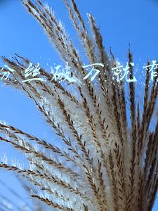 快手有没有破1亿粉丝的(2019快手内容报告重磅发布：日活突破3亿 点赞量超3500亿)