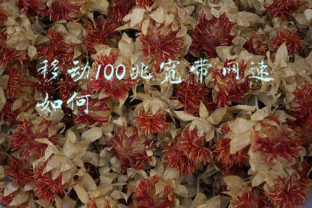 移动100兆宽带网速如何