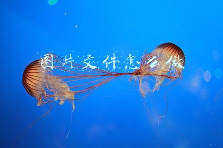 图片文件怎么做