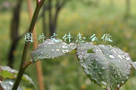 图片文件怎么做