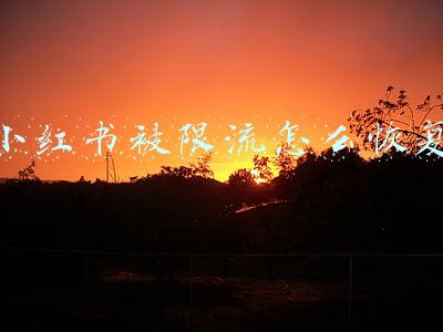 小红书被限流怎么恢复
