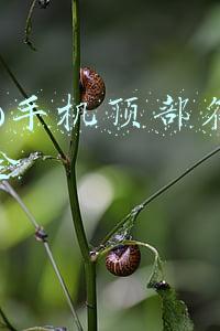 vivo手机顶部符号大全
