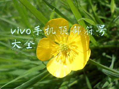 vivo手机顶部符号大全