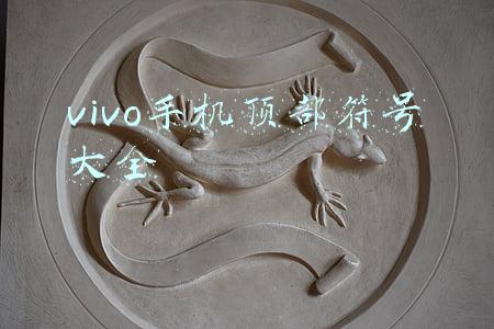 vivo手机顶部符号大全