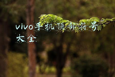 vivo手机顶部符号大全