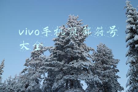 vivo手机顶部符号大全