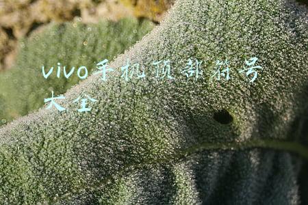 vivo手机顶部符号大全
