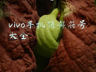 vivo手机顶部符号大全