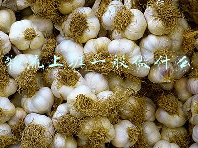 物流上班一般做什么