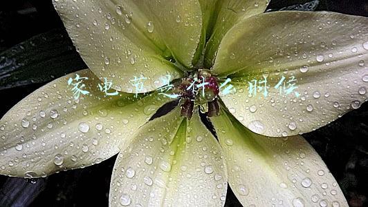 家电节是什么时候