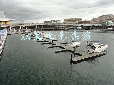历史电影票房排行榜实时票房(蜘蛛侠全球票房排名第6！距前者相差2.13亿美元，阿凡达排名第1)