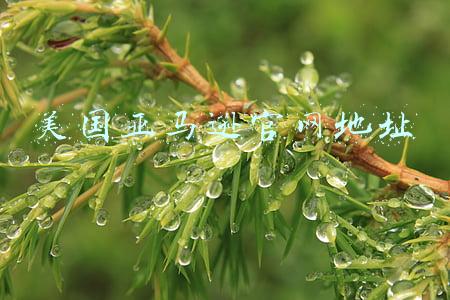北美亚马逊官方网站(今日干货——亚马逊的全球20个国家9个站点及其网址)