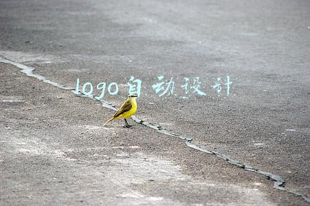 logo自动设计