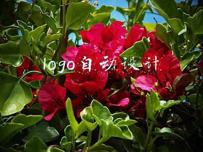 logo自动设计