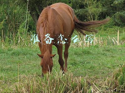 准备怎么写