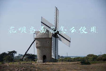 花呗当面花怎么使用