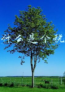 什么是个税