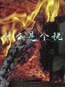 什么是个税
