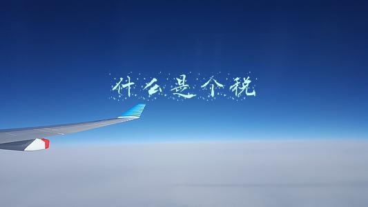 什么是个税