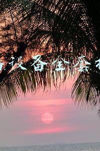 直播设备全套推荐