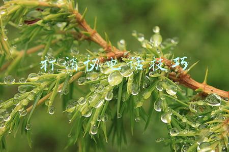 消协投诉电话(12315已整合至12345，“双号并行”！)