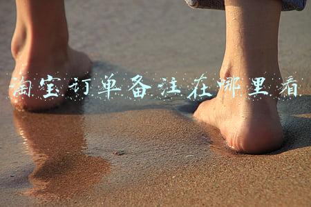 淘宝订单备注在哪里看