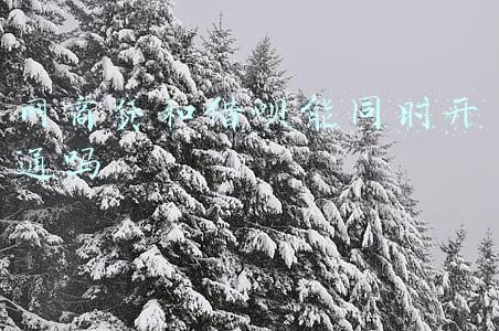 网商贷和借呗能同时开通吗