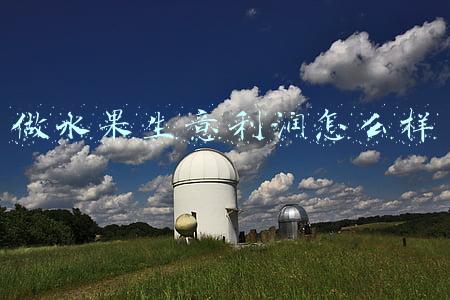做水果生意利润怎么样