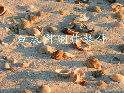 白底图制作软件