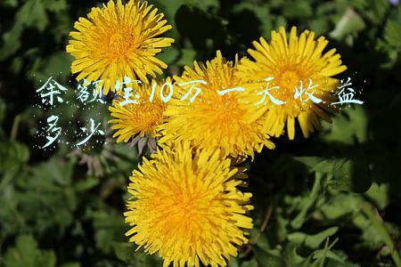 余额宝10万一天收益多少