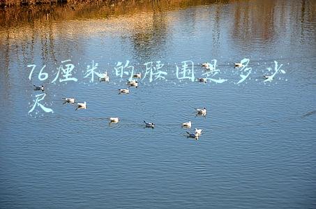 76厘米的腰围是多少尺