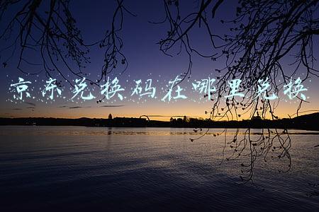 京东兑换码在哪里兑换