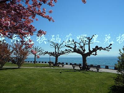 京东兑换码在哪里兑换