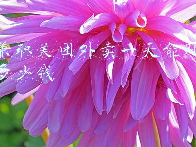 兼职美团外卖一天能赚多少钱