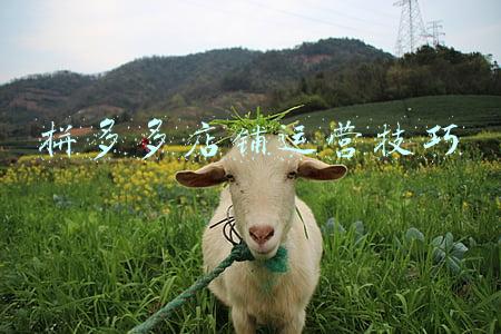 拼多多店铺运营技巧