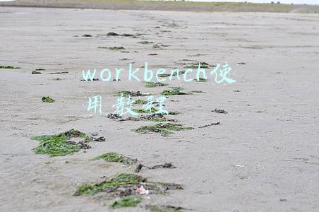 workbench使用教程