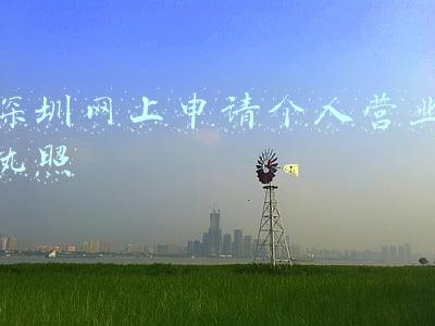 深圳网上申请个人营业执照