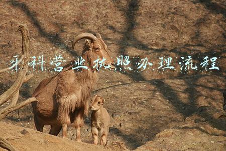 牙科营业执照办理流程